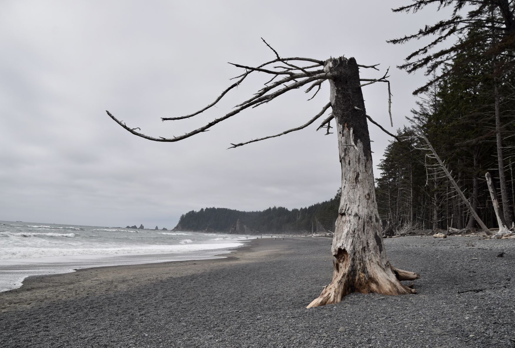 Travel story on Washington state
